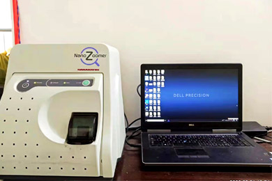 吉林全景数字白光扫描