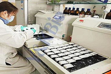 吉林石蜡包埋服务