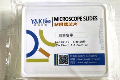吉林粘附载玻片
