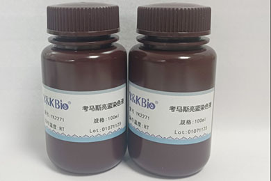 吉林考马斯亮蓝染色试剂盒