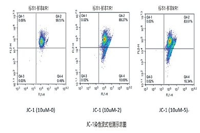 吉林流式-JC-1