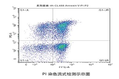 吉林流式PI染色
