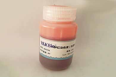 吉林伊红染液（水溶性）