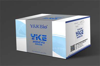 吉林Masson-Fontana黑色素染色试剂盒