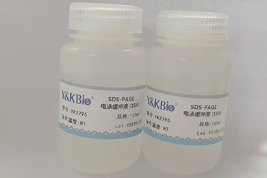 吉林10×SDS-PAGE电泳缓冲液