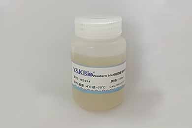 吉林Western膜再生液